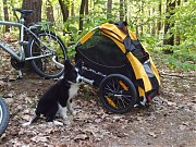 Przyczepka rowerowa dla psa marki Burley model Trail Wagon