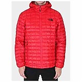 Kurtka Thermoball Hoodie / THE NORTH FACE