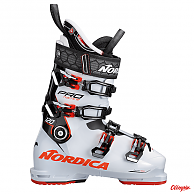 Buty narciarskie Pro Machine 120 / NORDICA