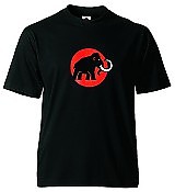 Koszulka T-shirt Mammut Logo / MAMMUT